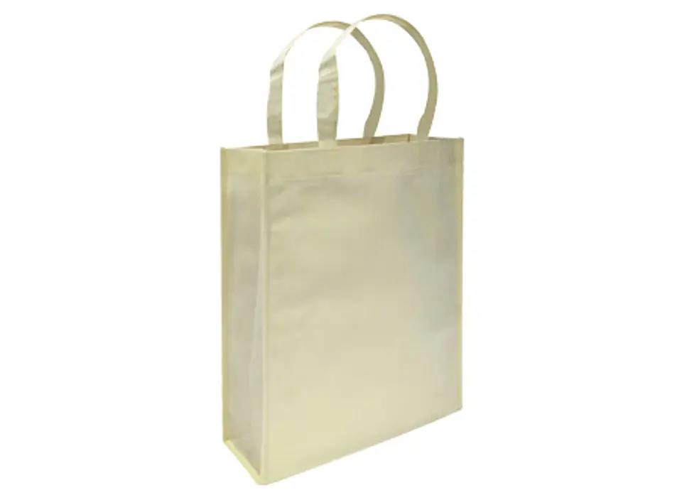 Bolsa Reutilizable Conference E5 30 x 38 x 8.5 cm 9