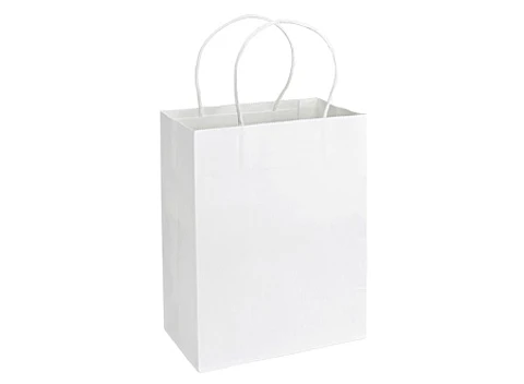 Bolsa de Papel 120g/m2 20 x 26 x 12 cm E102