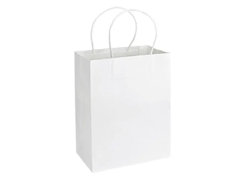 Bolsa de Papel 120g/m2 20 x 26 x 12 cm E102 2