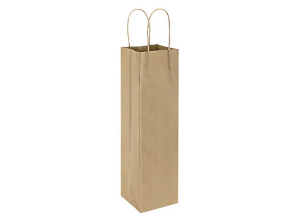 Bolsa de Papel 120g/m2 E101 1