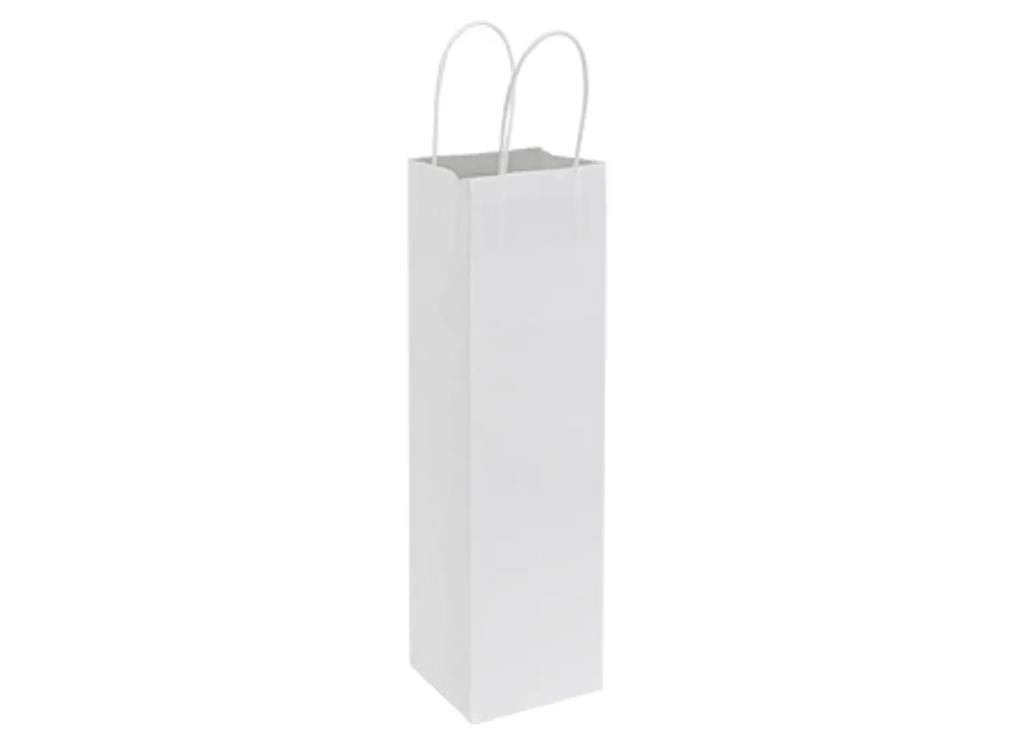 Bolsa de Papel 120g/m2 E101 2
