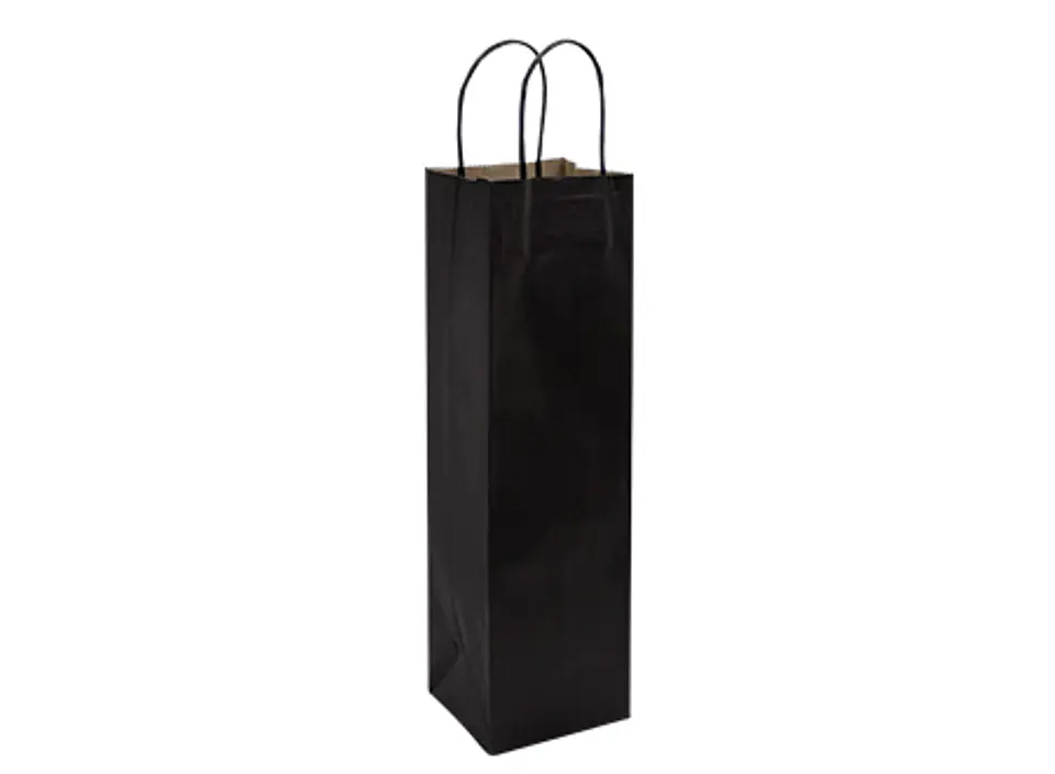 Bolsa de Papel 120g/m2 E101 3