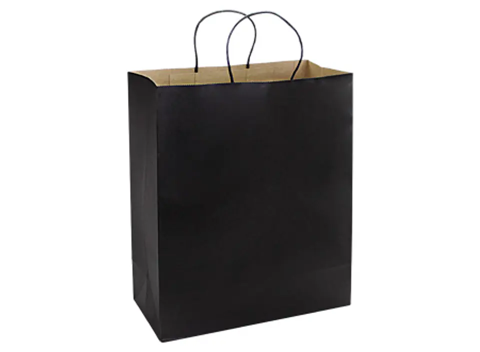 Bolsa de Papel 150g/m2 33 x 40 x 15 cm E106 3
