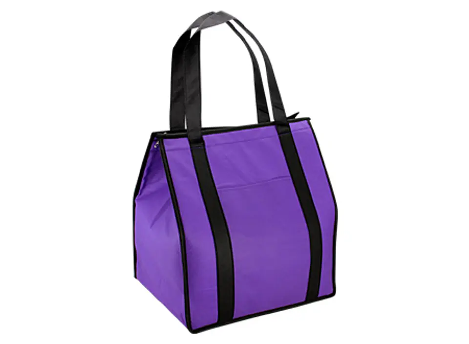 Cooler-Lonchera Grande de TNT  33 x 37 x 24 cm E24 7