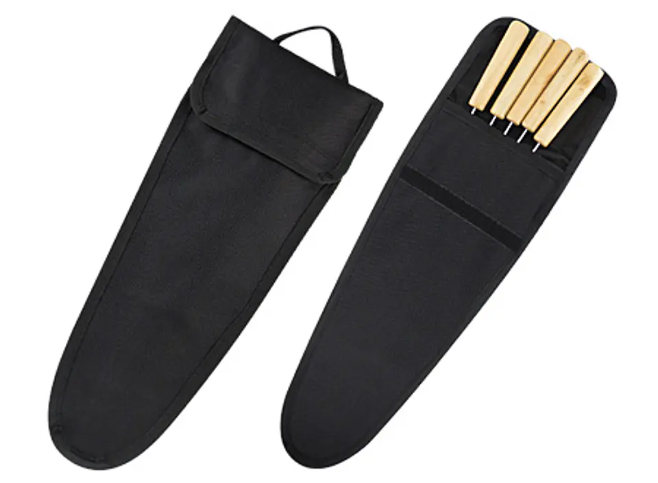 Set de Fierros para Antichuchos 1