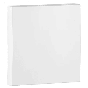  TAMPA CEGA BRANCA 90677 TBR 