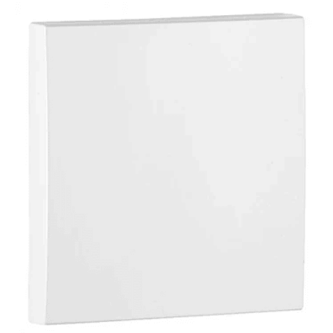  TAMPA CEGA BRANCA 90677 TBR  1