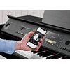 YAMAHA CVP805 PE CLAVINOVA PIANO DIGITAL