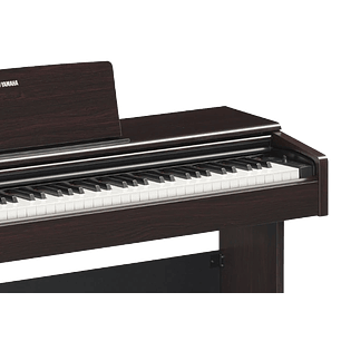 YAMAHA ARIUS YDP145R PIANO DIGITAL