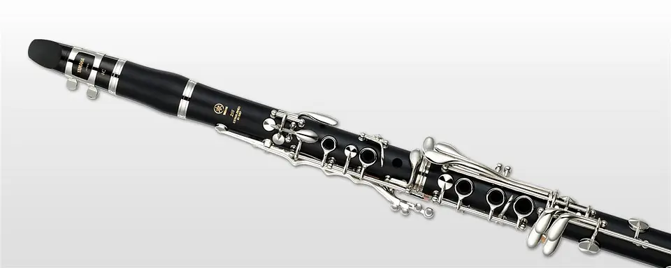 YAMAHA YCL255 CLARINETE 2