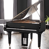 YAMAHA DGB1K ENST DISKLAVIER BABY GRAND PIANO PIANO DE COLA