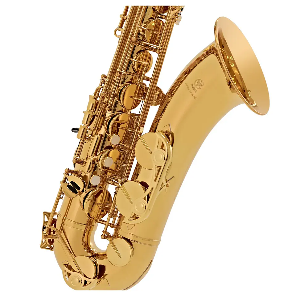 YAMAHA YTS480 SAXO TENOR 6