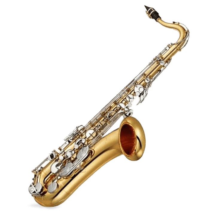 YAMAHA YTS26 SAXO TENOR 1