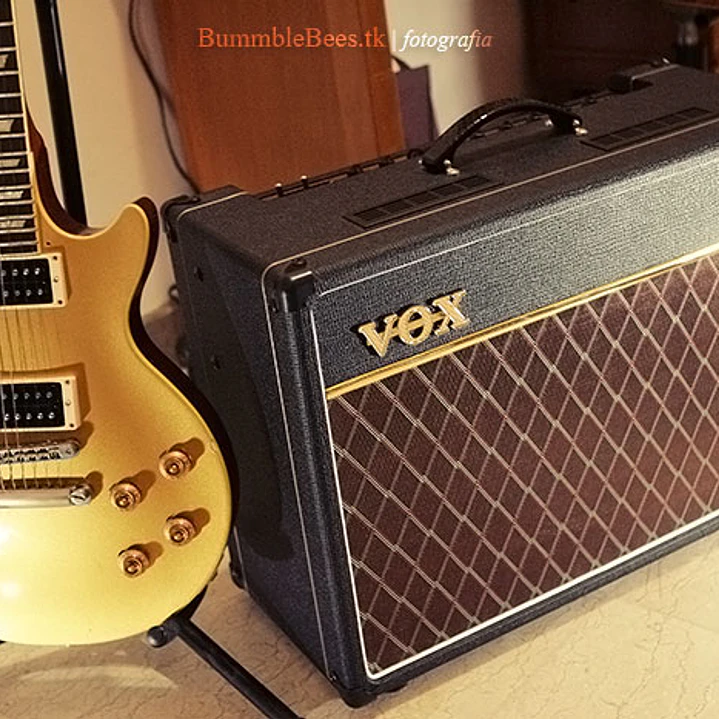 VOX AC15C1 15W 1x12 COMBO TUBOS AMPLIFICADOR DE GUITARRA ELECTRICA 2