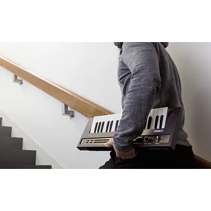 YAMAHA REFACE DX SINTETIZADOR