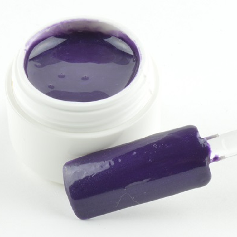 Gel de Cor de 5ml - Tons de Roxos - 2 5