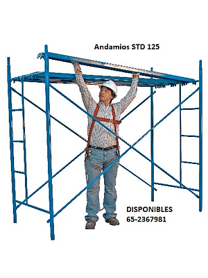 Arriendo Andamios Alzaprimas Escaleras