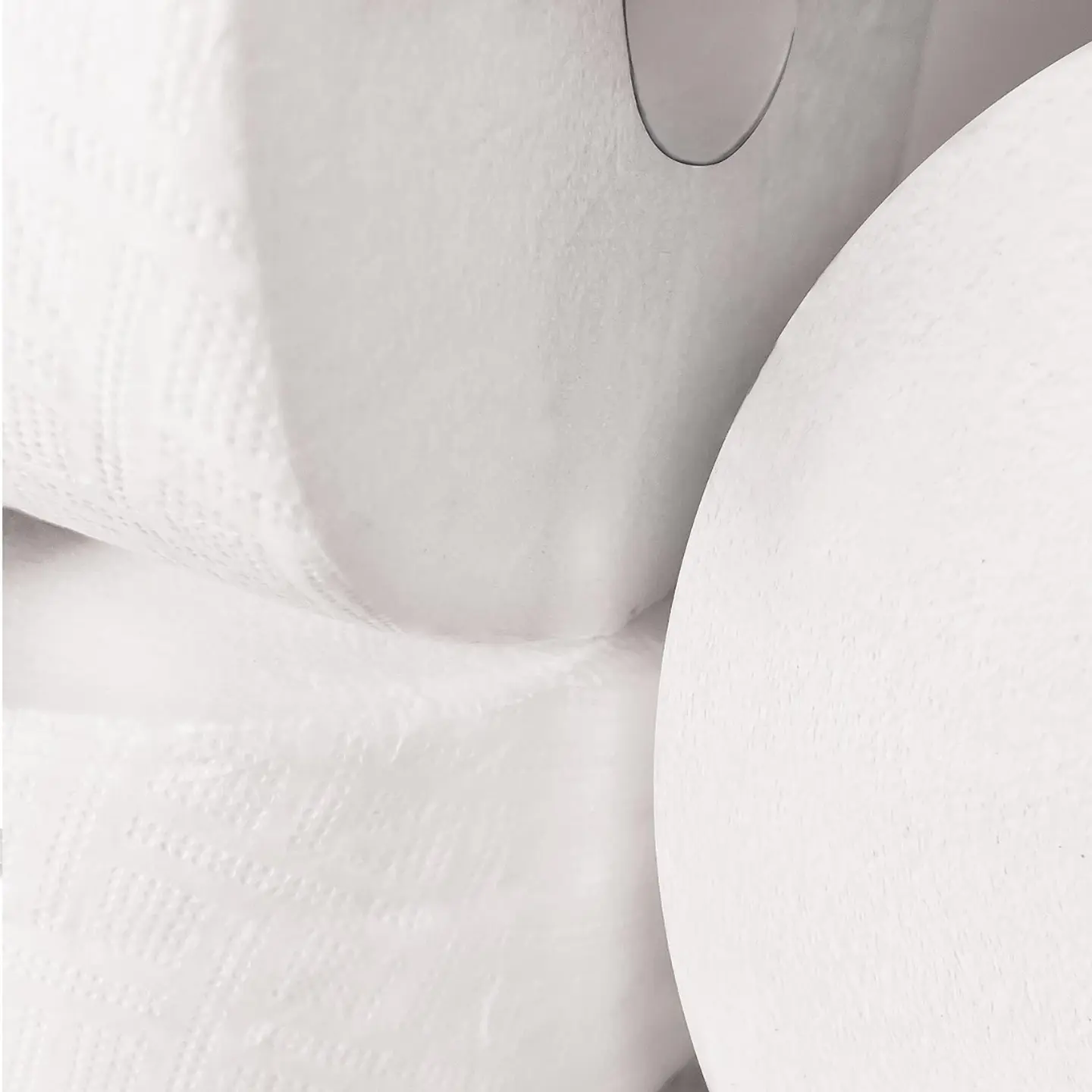Rollo Papel Higienico (300 metros) Insumitus® 3