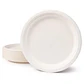 Plato Biodegadable 26cm (10 unidades) - Miniatura 1