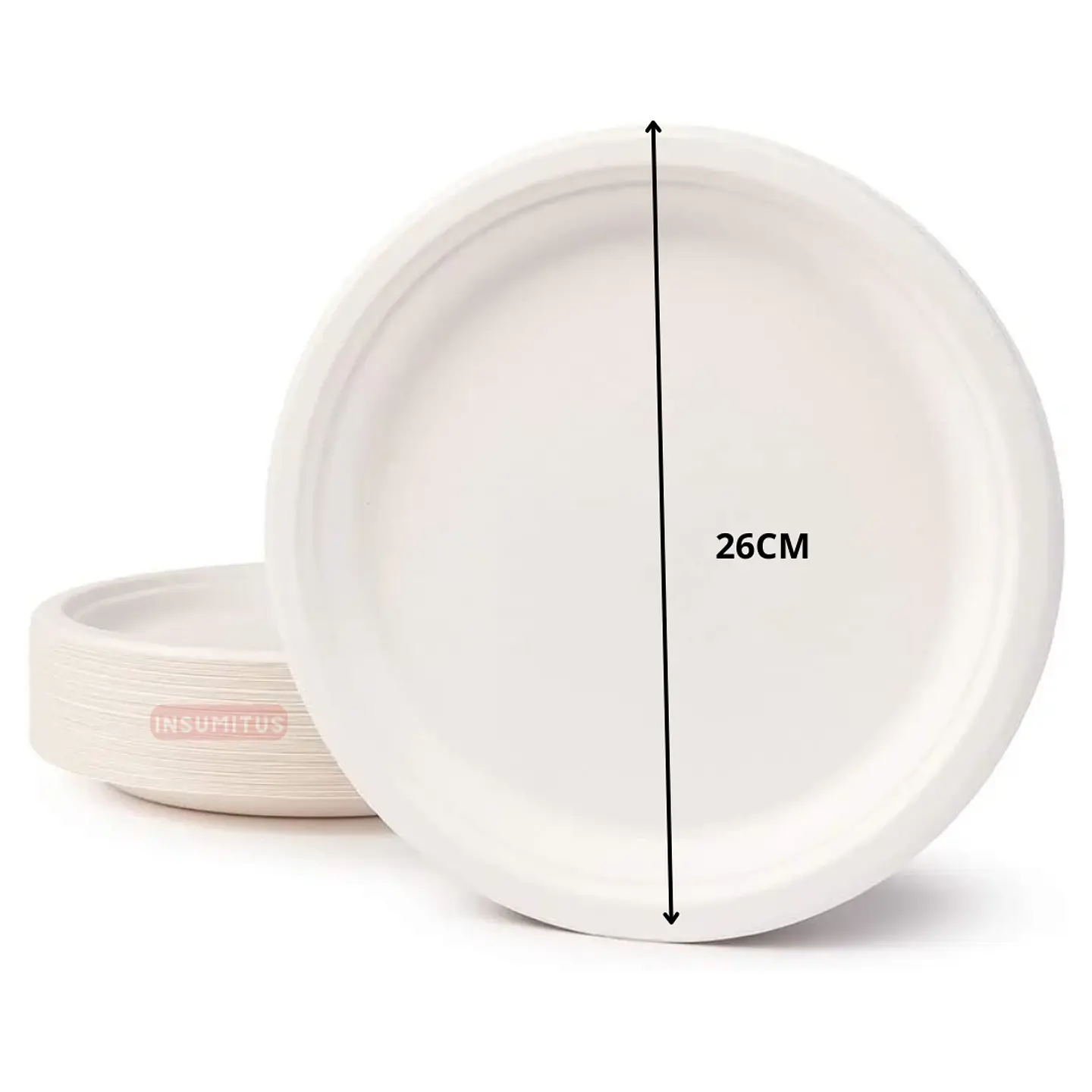 Plato Biodegadable 26cm (10 unidades) 3