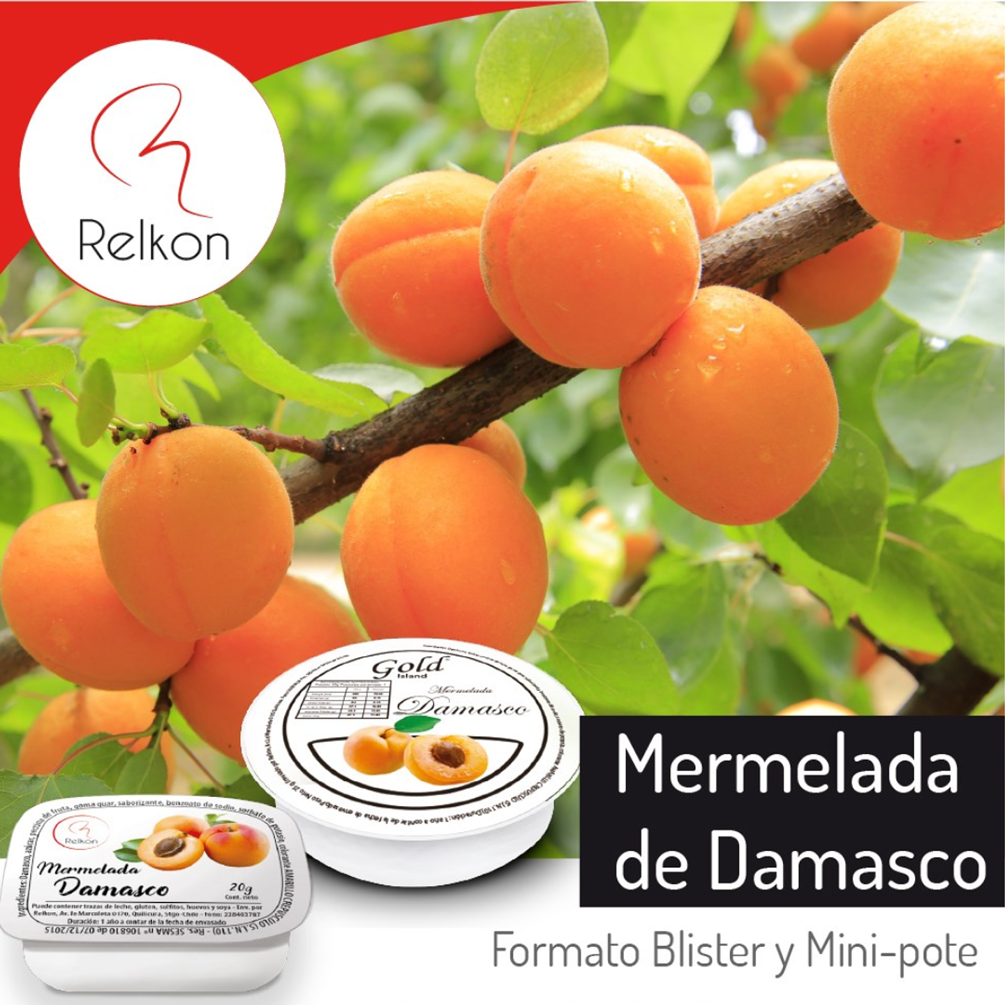 Mermelada de Damasco Relkon (20gr x 192un) 2