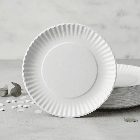 Plato de Carton N° 2  (100 unidades) 