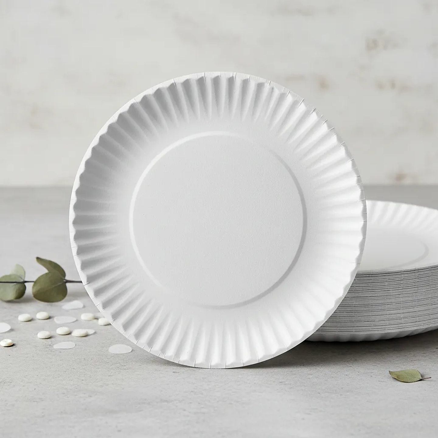 Plato de Carton N° 2  (100 unidades)  1