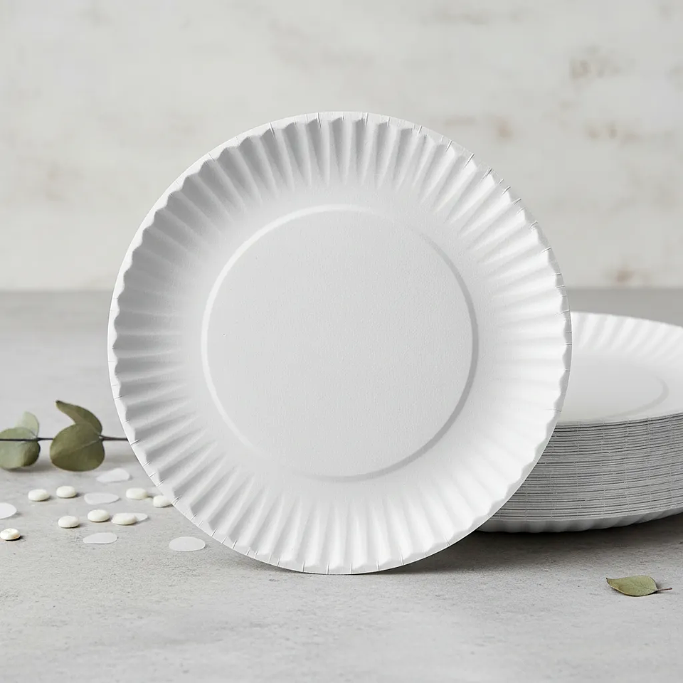 Plato de Carton N° 2  (100 unidades)  1