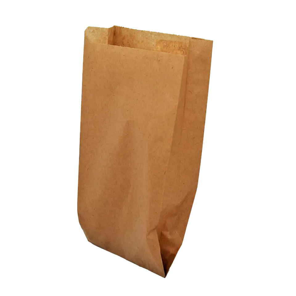 Saco Kraft 1kg (100 unidades) 4