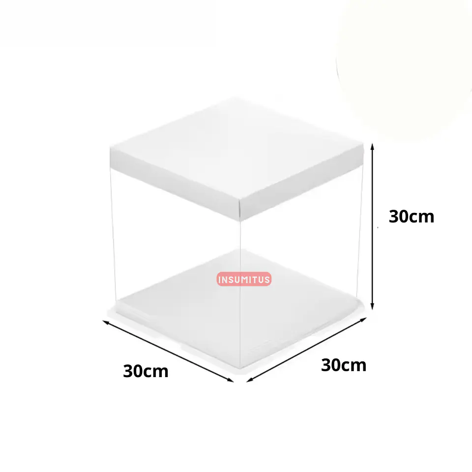 Caja Transparente Cuadrada Para Torta 30x30x30cm 6