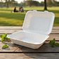 Colacion Biodegradable Compostable Sin División 50 Unidades - Miniatura 5