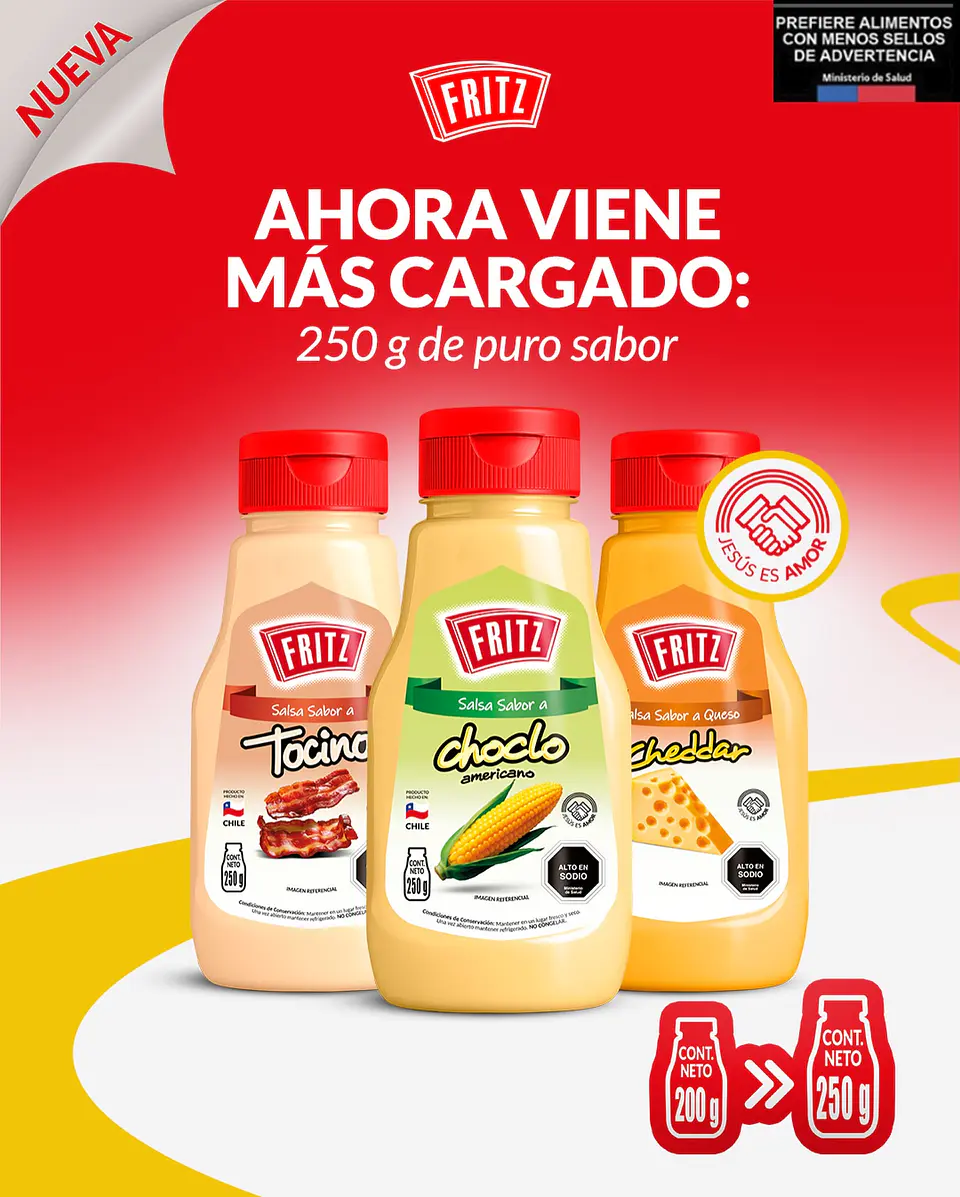 Salsa Aderezo Sabor Cheddar Fritz 250gr 5