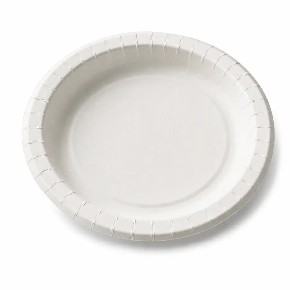 Plato De Carton 15cm 100% Biodegradables Paquete 20 Unidades 1