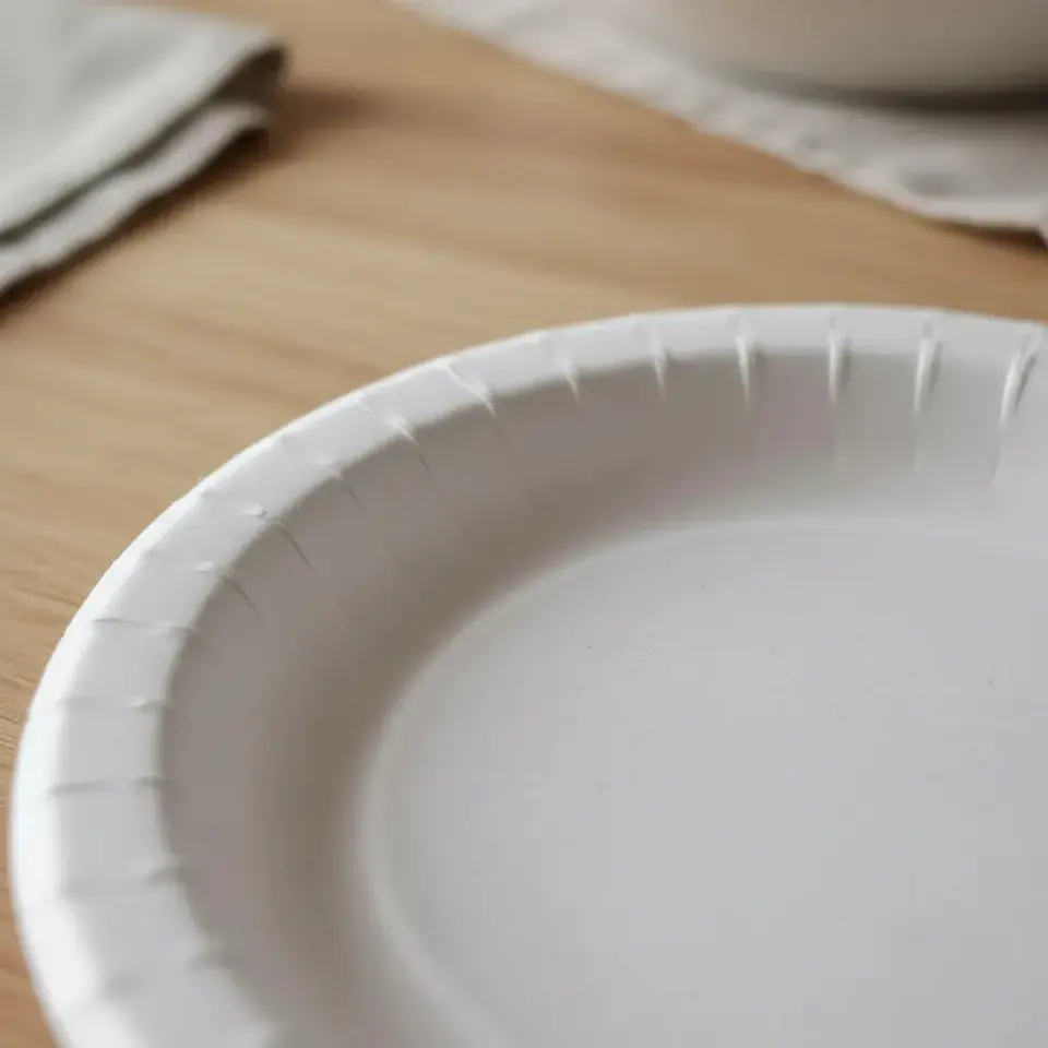 Plato De Carton 26cm 100% Biodegradables Paquete 20 Unidades 5