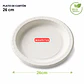 Plato De Carton 26cm 100% Biodegradables Paquete 20 Unidades - Miniatura 4
