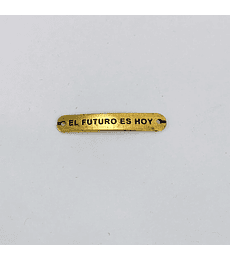 PLACA EL FUTURO ES HOY CRUNA-74