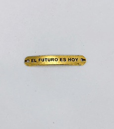 PLACA EL FUTURO ES HOY CRUNA-74