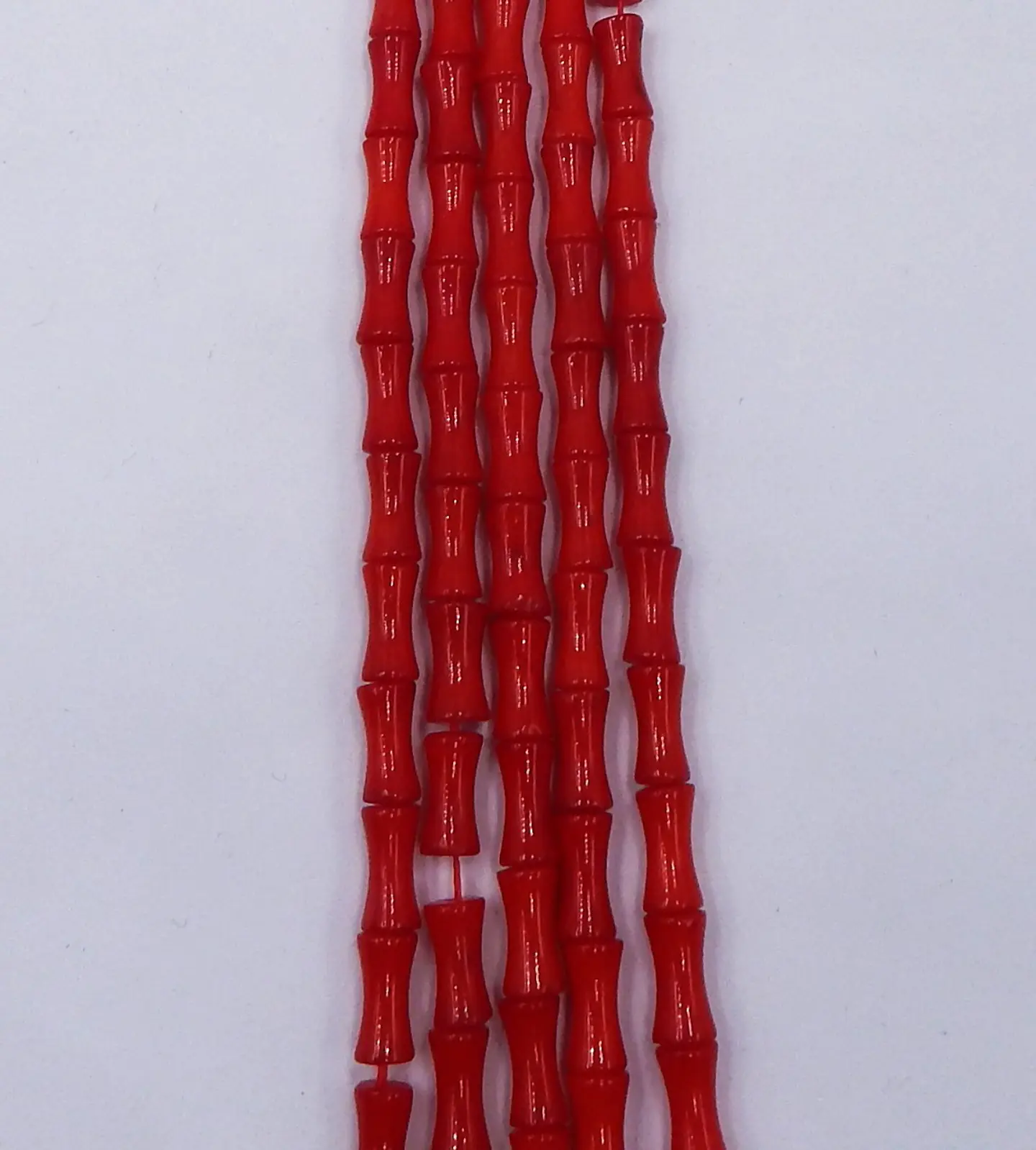 CORAL HUESO COR-18                                                                                               1