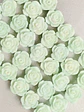 ROSA MATE DOCENA R002 - Miniatura 16