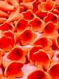 FLOR  ENSAMBLE  MATE  (ELIGE TU COLOR FAVORITO )   S-1710  - thumbnail 4