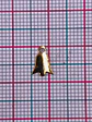 CAMPANA MINI DIJE BAÑO DE ORO T1611                               - thumbnail 2
