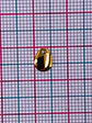 GOTA LISA MINI DIJE BAÑO DE ORO TP-071                                    - Miniatura 2