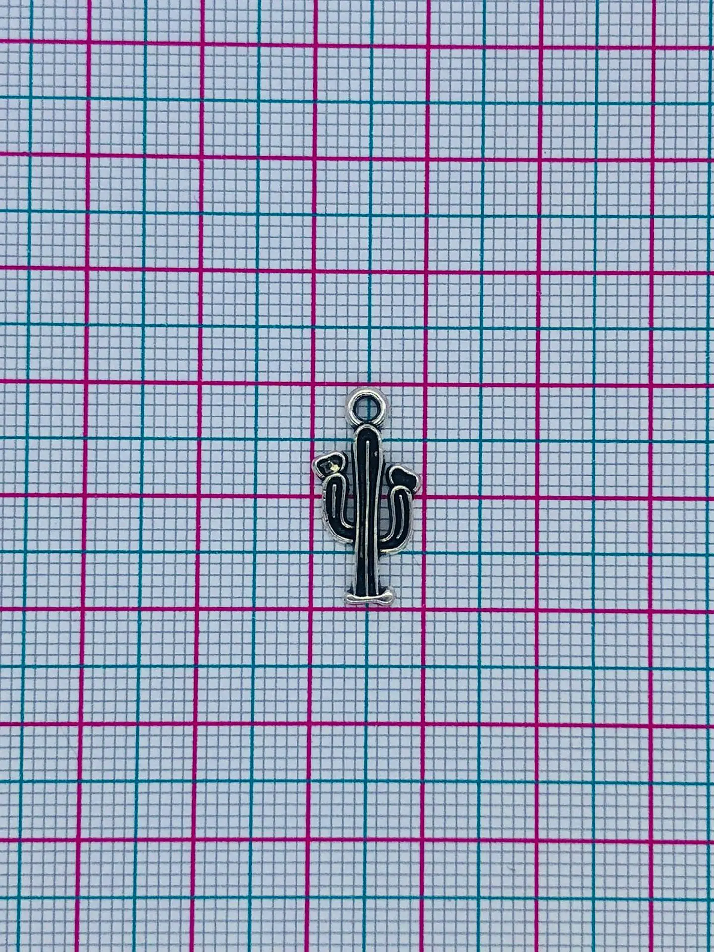 CACTUS ZAMAK A60276 2