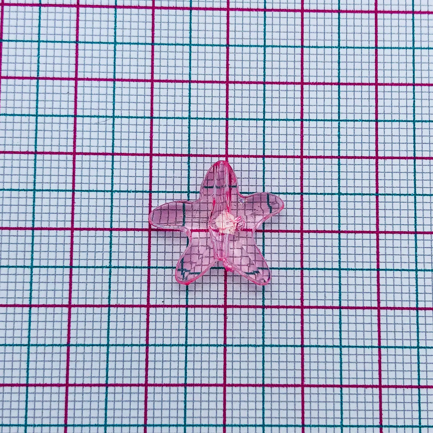 SEPARADOR ✦ ESTRELLA DE MAR (ELIGE TU COLOR FAVORITO) 2