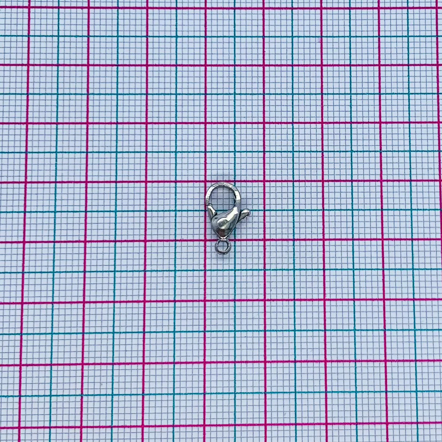 BROCHE ✦ PICO DE LORO ACERO 2