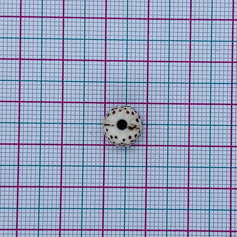 BOLA PECA 8MM MATE (ELIGE TU COLOR FAVORITO) S2016