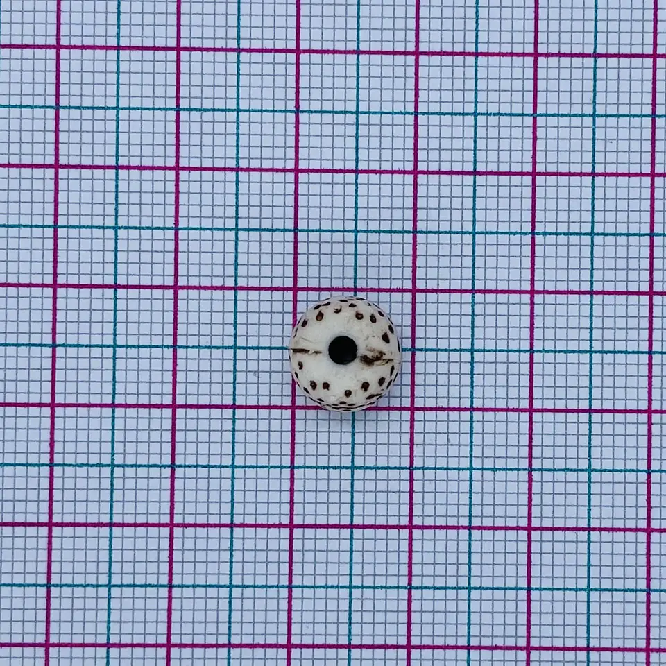 BOLA PECA 8MM MATE (ELIGE TU COLOR FAVORITO) S2016 2