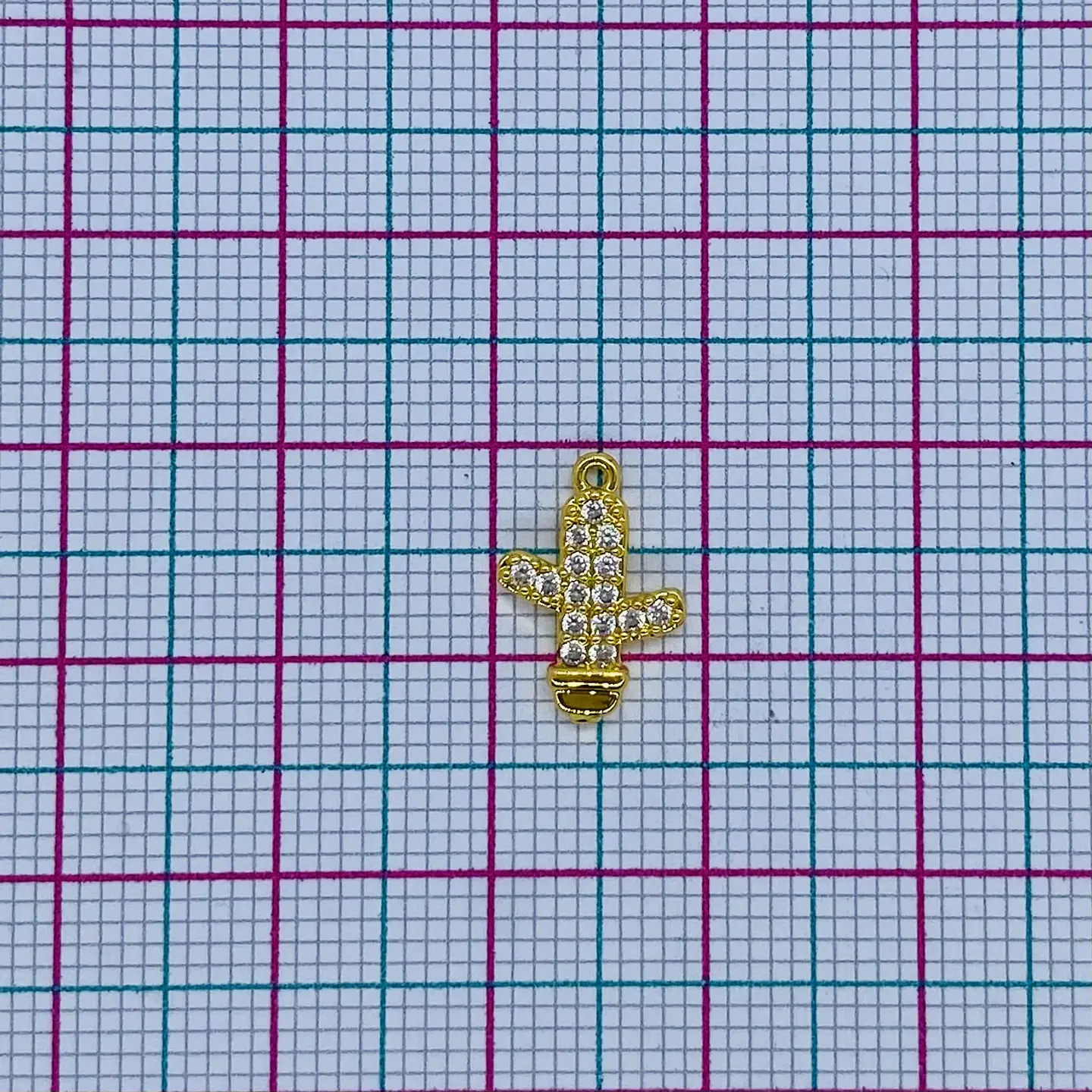 CACTUS RODIO T01590006 2