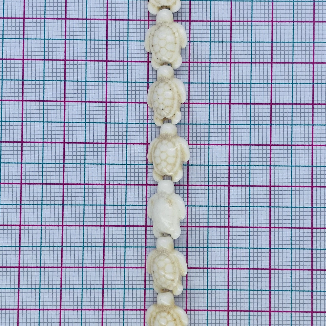 TORTUGA FÓSIL FOSTOR-18MM 2