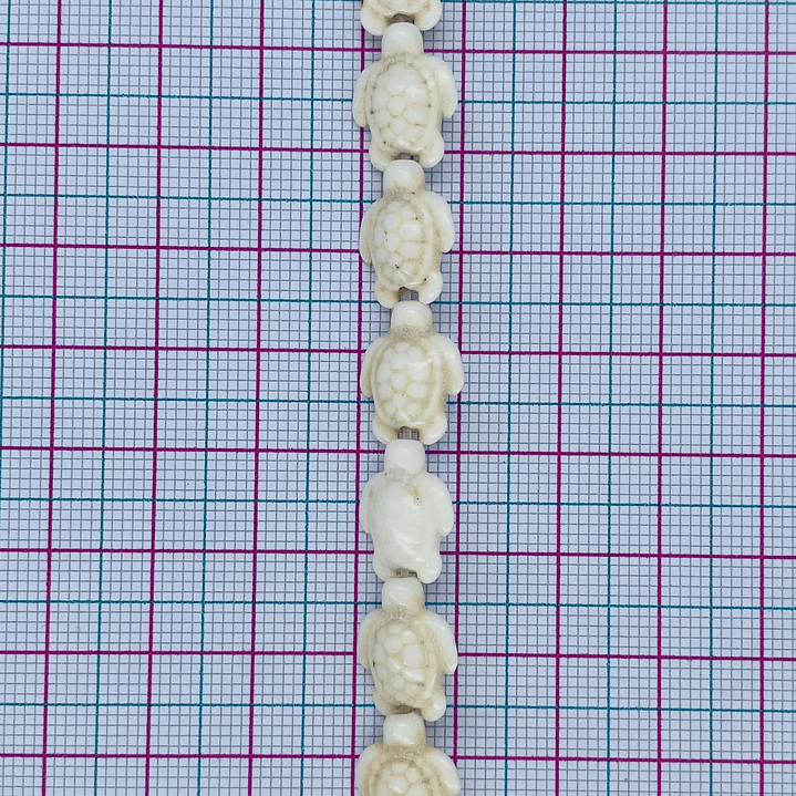 TORTUGA FÓSIL FOSTOR-18MM 2